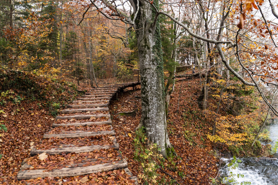 imagen otoño en el pirineo